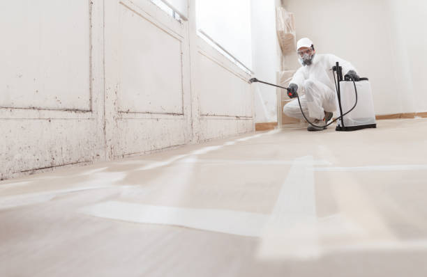 24/7 Emergency Mold Remediation experts in Oak Ridge, TN