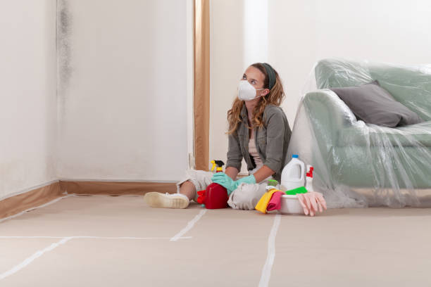 Reliable Mold Remediation contractor in Oak Ridge, TN by WQB Mold Removal